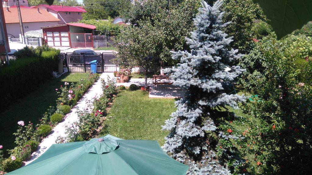Zoi Residence Costinești Εξωτερικό φωτογραφία